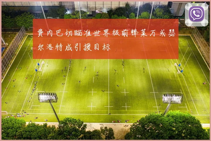费内巴切瞄准世界级前锋莱万或瑟尔洛特成引援目标