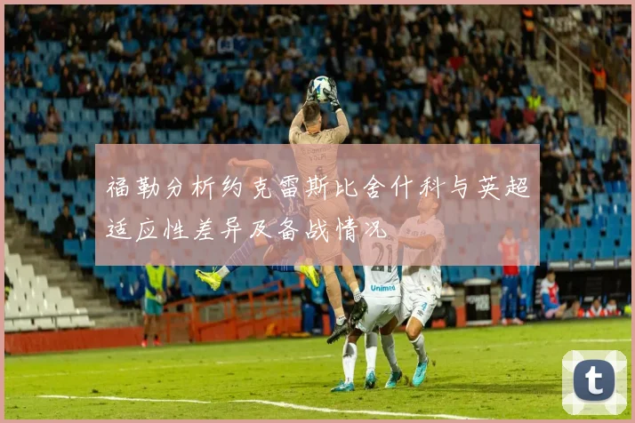 福勒分析约克雷斯比舍什科与英超适应性差异及备战情况