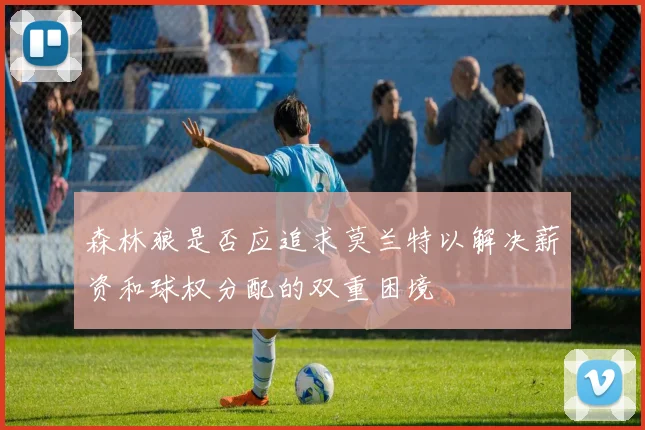 森林狼是否应追求莫兰特以解决薪资和球权分配的双重困境